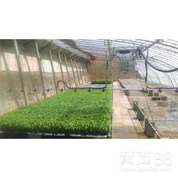 溫室大棚噴水施肥育苗噴灌機(jī)噴水車(chē) 技術(shù)解析與廠價(jià)直銷(xiāo)優(yōu)勢(shì)